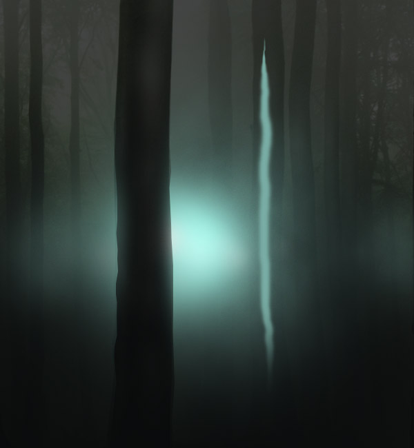Плакат к фильму «Таинственный Лес»