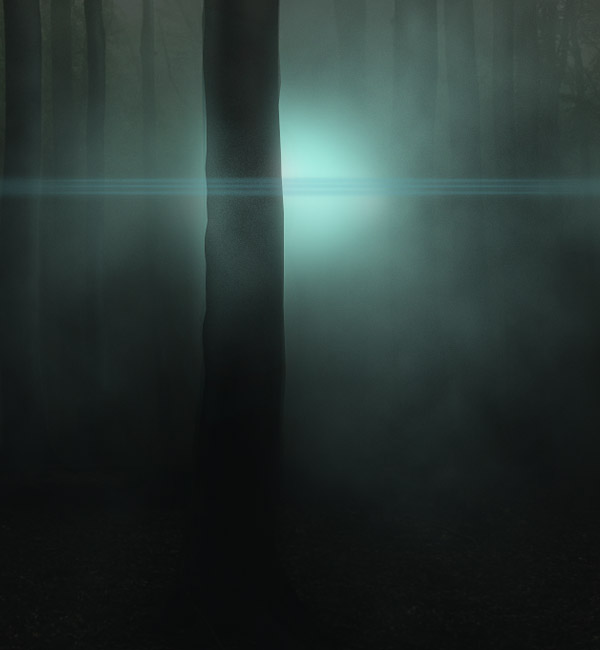 Плакат к фильму «Таинственный Лес»