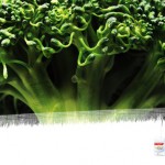 2colgate02m ‣ Маркетер