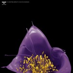 boysen1 ‣ Маркетер