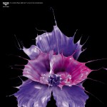 boysen2 ‣ Маркетер