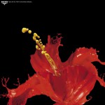 boysen4 ‣ Маркетер