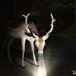 Matchbox ‣ Маркетер