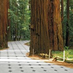 hot weels_road ‣ Маркетер