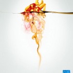 kart-fri ‣ Маркетер