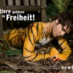 vjs ‣ Маркетер