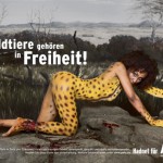 vjs4 ‣ Маркетер