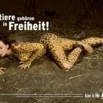 vjs7 ‣ Маркетер