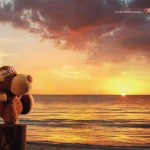 toys_r_us_karate_king6616423828 ‣ Маркетер