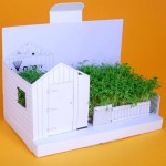 postcarden2 ‣ Маркетер