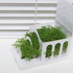 postcarden897 ‣ Маркетер