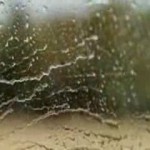 00-01-31 ‣ Маркетер