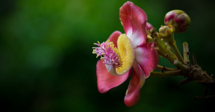 Image00015 ‣ Маркетер