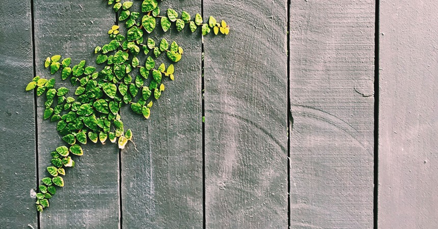 Image00041 ‣ Маркетер